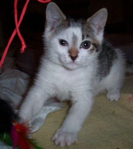 Minnie
