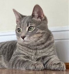 Mercury