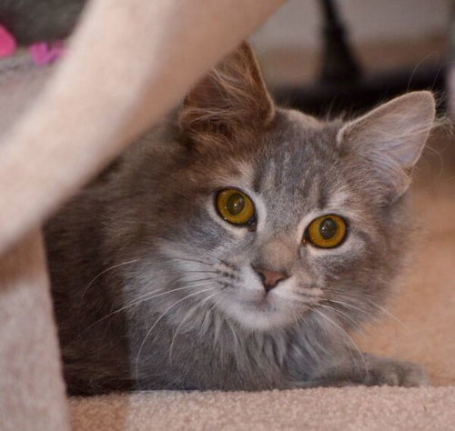 Luna