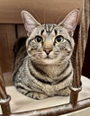 Fiona