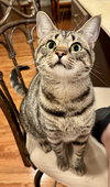 Fiona