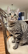 Fiona