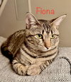 Fiona