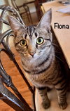 Fiona