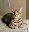 Fiona