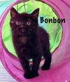 Bonbon