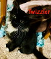 Twizzler