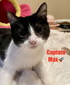 Captain Max of the Starship Cuddleprise