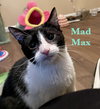 Mad Max