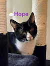 Hope
