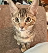 Penelope