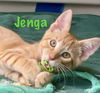 Jenga