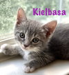 Kielbasa