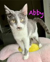Abby