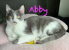 Abby