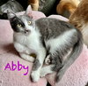 Abby