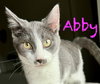Abby