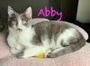 Abby