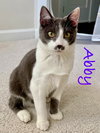 Abby