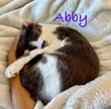 Abby