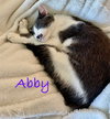 Abby