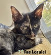 Fae Loralei