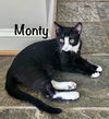Monty