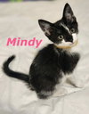Mindy