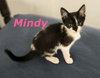 Mindy