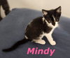 Mindy