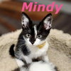 Mindy
