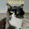 Wanda