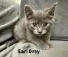 Earl Grey