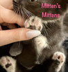 Mittens