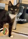 Mittens