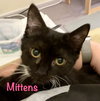 Mittens