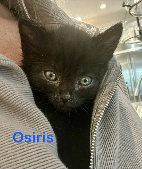 Osiris