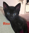 Binx