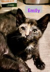 Emily