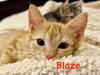 Blaze