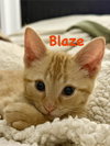 Blaze