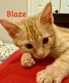 Blaze