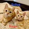 Julius