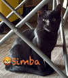 Simba