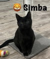 Simba