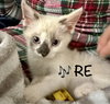 RE