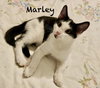 Marley