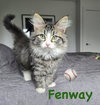 Fenway