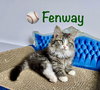 Fenway
