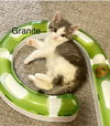 Granite